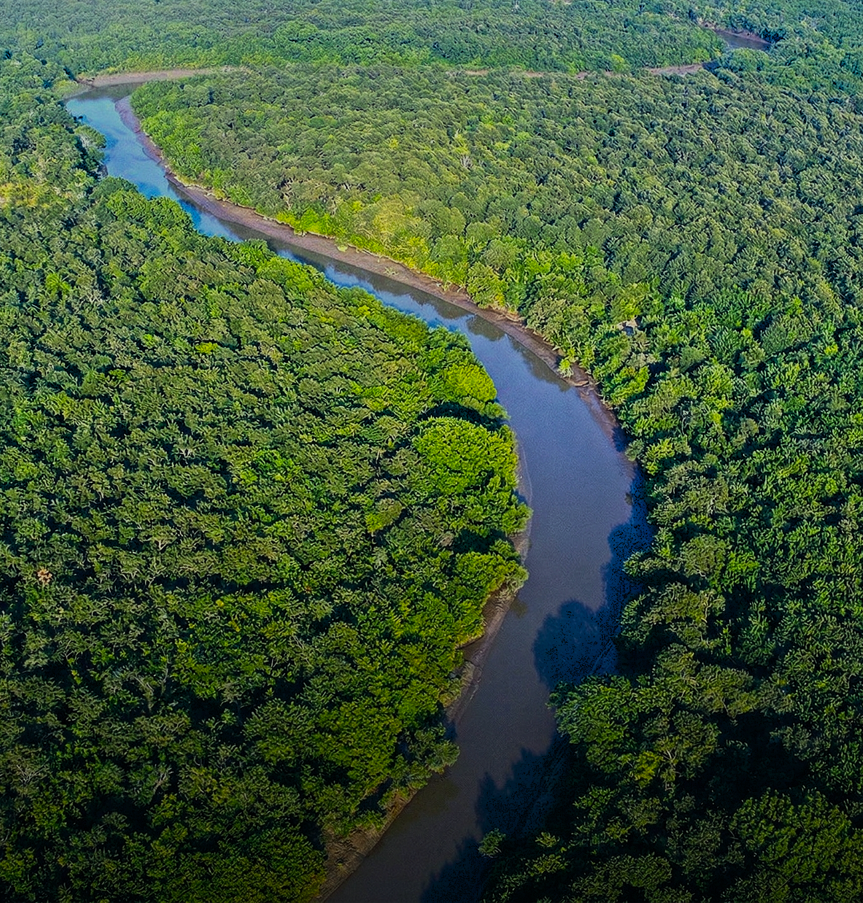 Bhitarkanika Mangroves